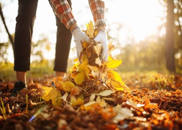 # L'automne est une saison active au jardin, quels sont les outils les plus indispensables pour le jardinier ? © Konstantin Zibert - stock.adobe.com
