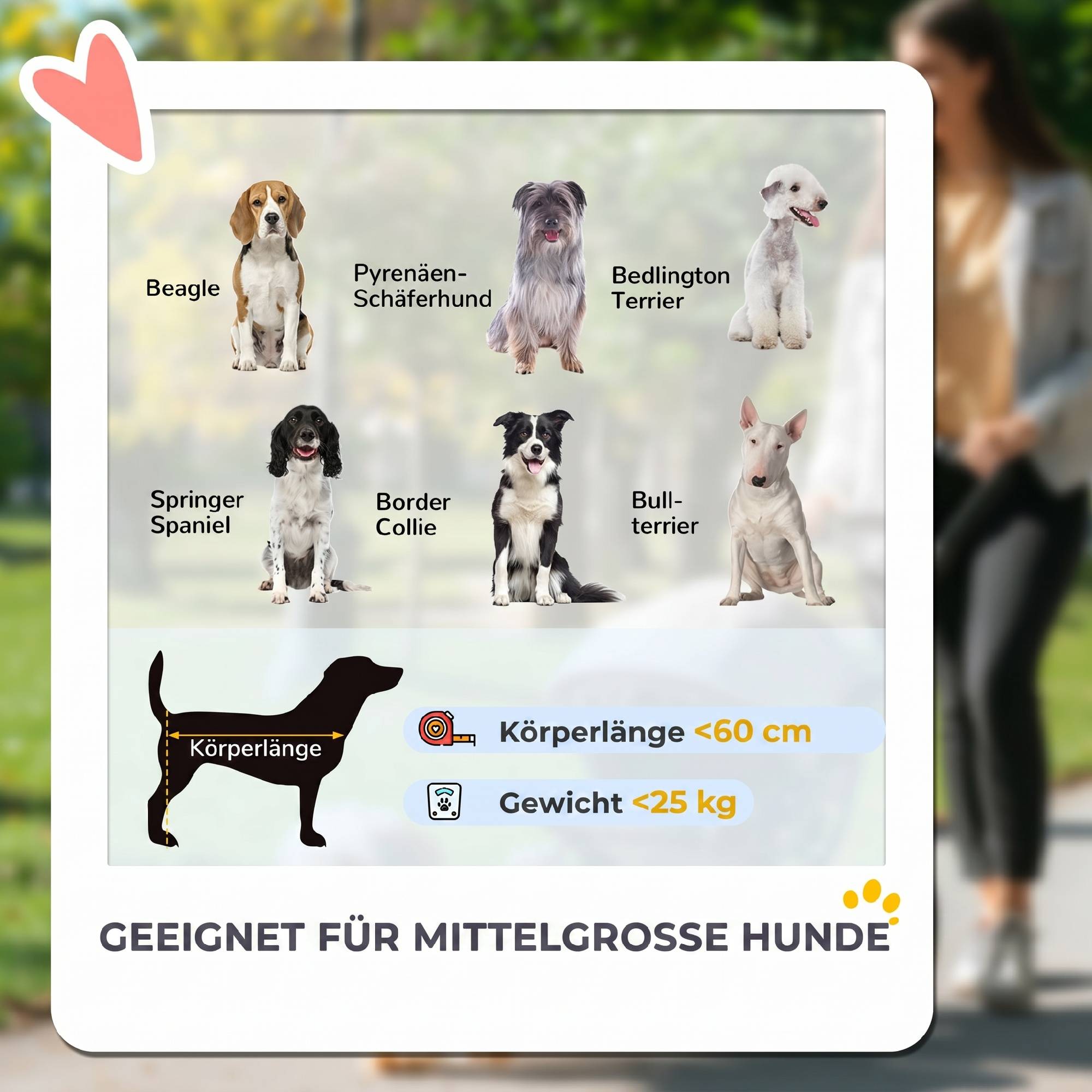 Poussette pour chien, poussette pliable pour chiens de taille moyenne, poussette pour animaux de compagnie à 4 roues, laisses de sécurité et freins - Image 6