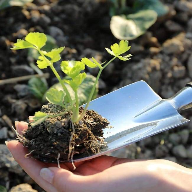 Ensemble d'outils de Jardin, Trois pièces d’Outils de Jardinage Lourds moulés en Aluminium avec Une poignée antidérapante caoutchoutée-Lytech - Image 6