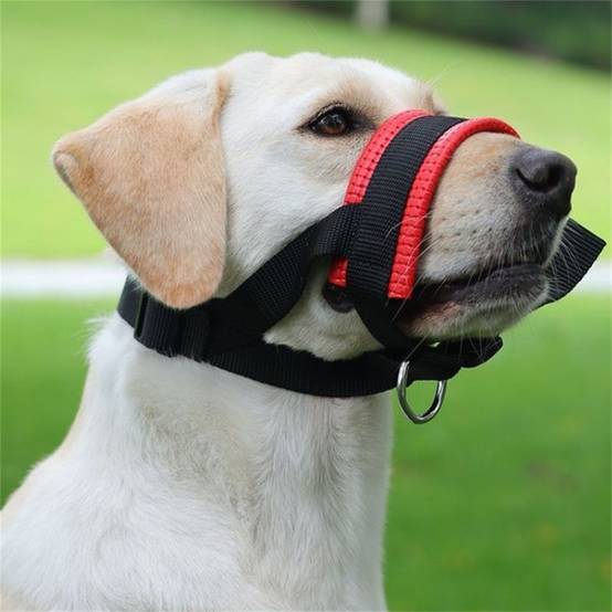Muzzle pour chiens, anti - morsure et anti - ingestion DtopbuyAge - Image 1