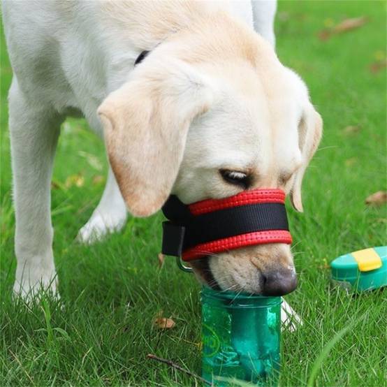 Muzzle pour chiens, anti - morsure et anti - ingestion DtopbuyAge - Image 2
