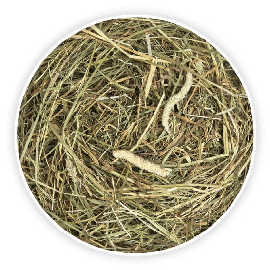 Foin Timothy Premium