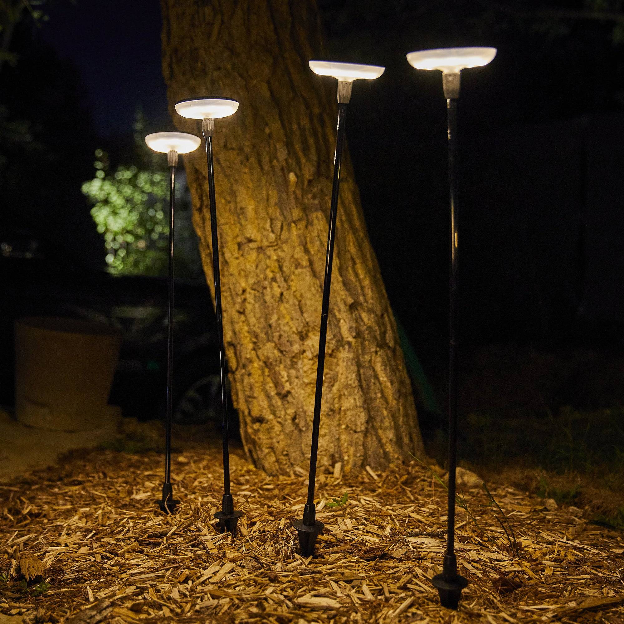 Lumisky - Lot de 4 balises solaires à piquer LUCENTY Noir Plastique H76CM - Image 3