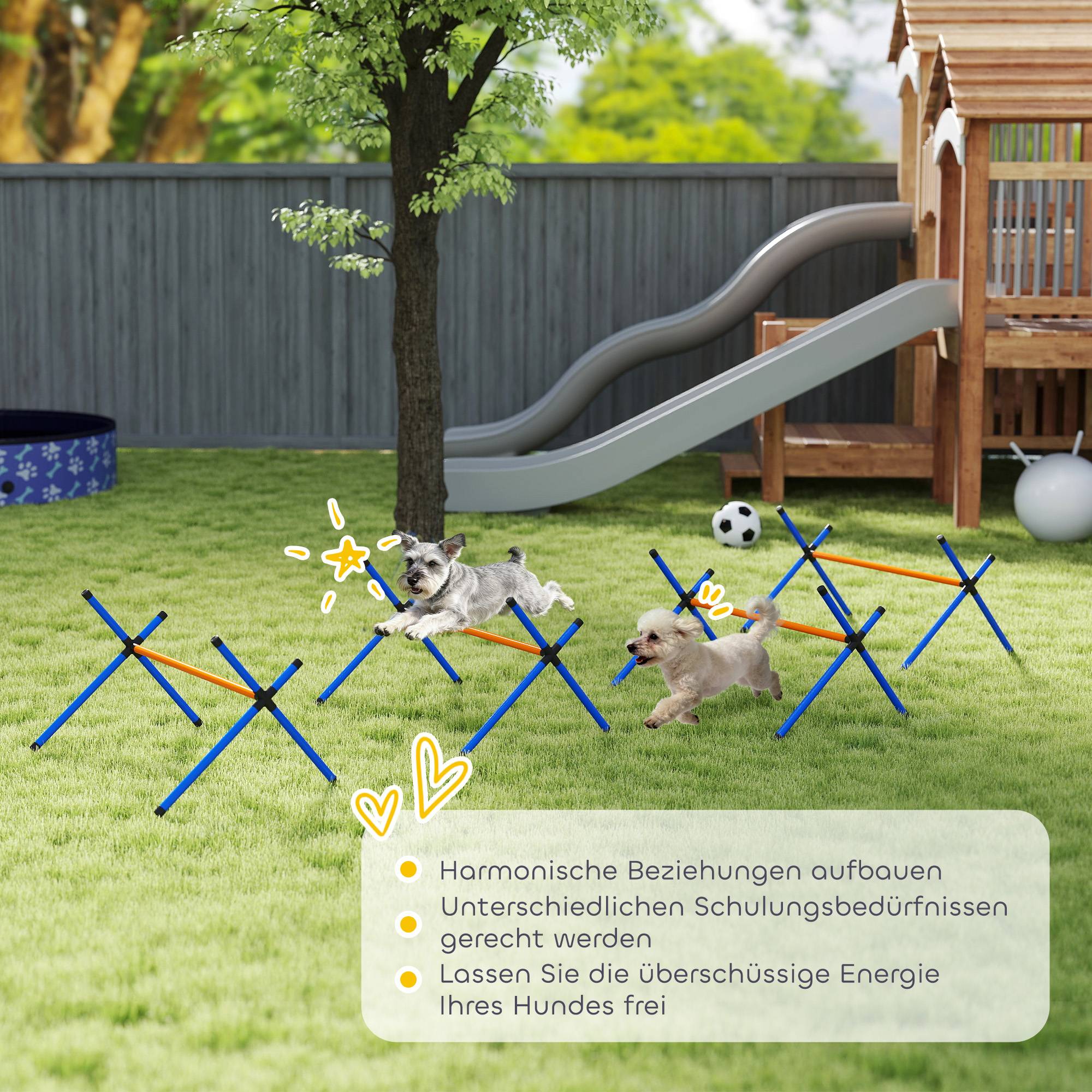 ComfortXL - Kit agilité chien en plastique 4 haies réglables 13 à 28 cm pour petits chiens - ComfortXL Outdoor Living - Image 9