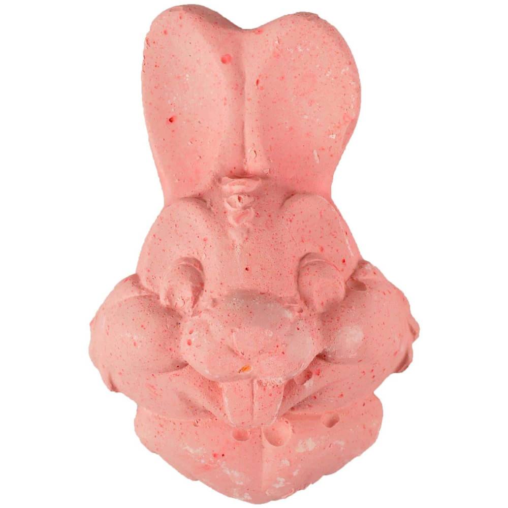 animallparadise - Pierre à ronger forme lapin 80 g pour rongeurs - Image 1