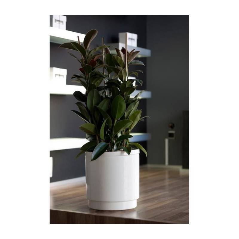 Plastiken Pot De Fleurs A Réserve D'eau Hidrojardinera - ø38 Cm - Blanc - Image 2