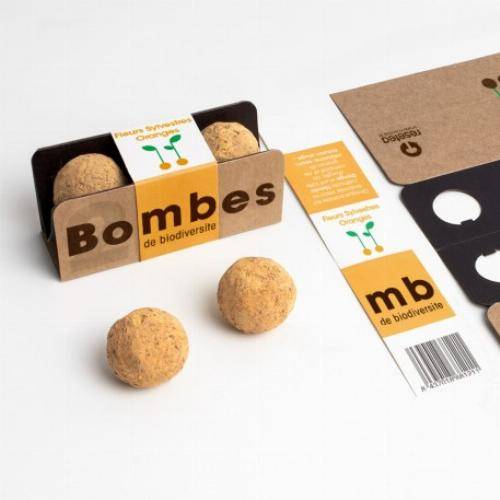 Bombes de biodiversité - Jardin Atlantique - Image 2