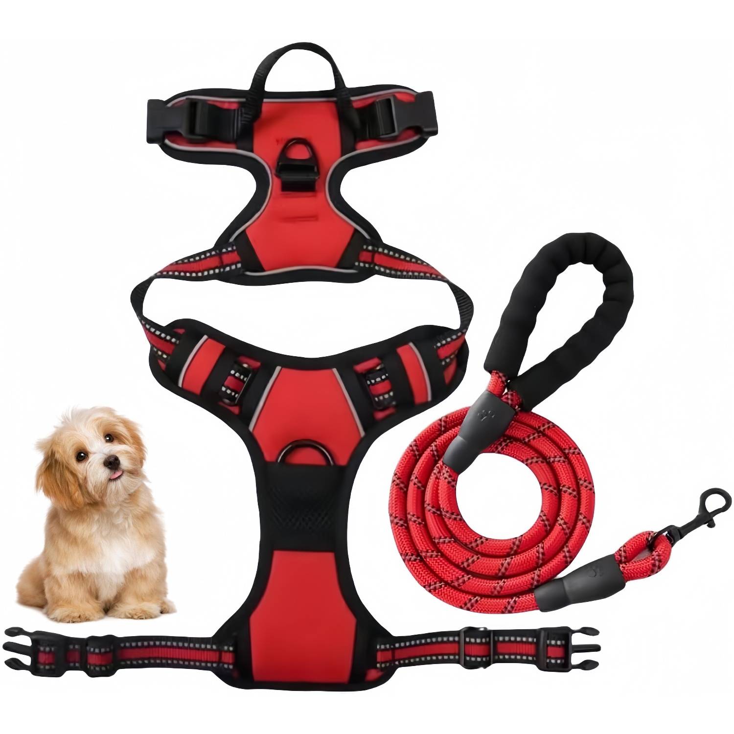 DtopbuyAge - Harnais-Laisse Réfléchissant pour Grand Chien XL - Image 1