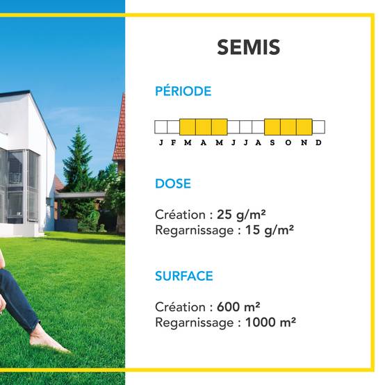 Gazon Anglais et Ultra dense - Aspect Prestigieux Parcs Anglais - Tapis Dense Effet velours - Densité Extrême - 15KG - BARENBRUG - Image 4