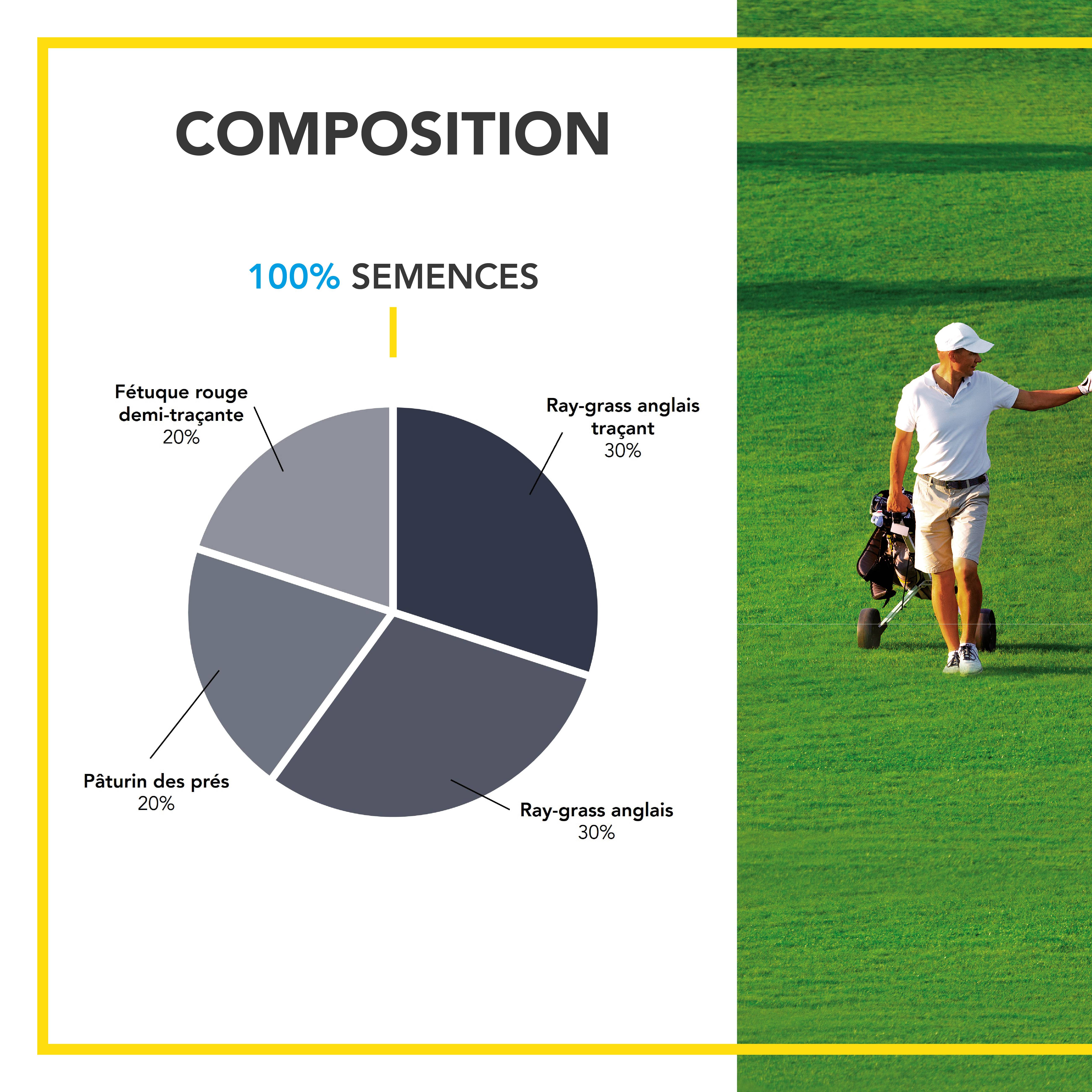 Gazon Ligue Pro et Golf - pour Terrains de Compétition - Esthétisme, Performance - Fin, Dense, Solide - 15KG - BARENBRUG - Image 3