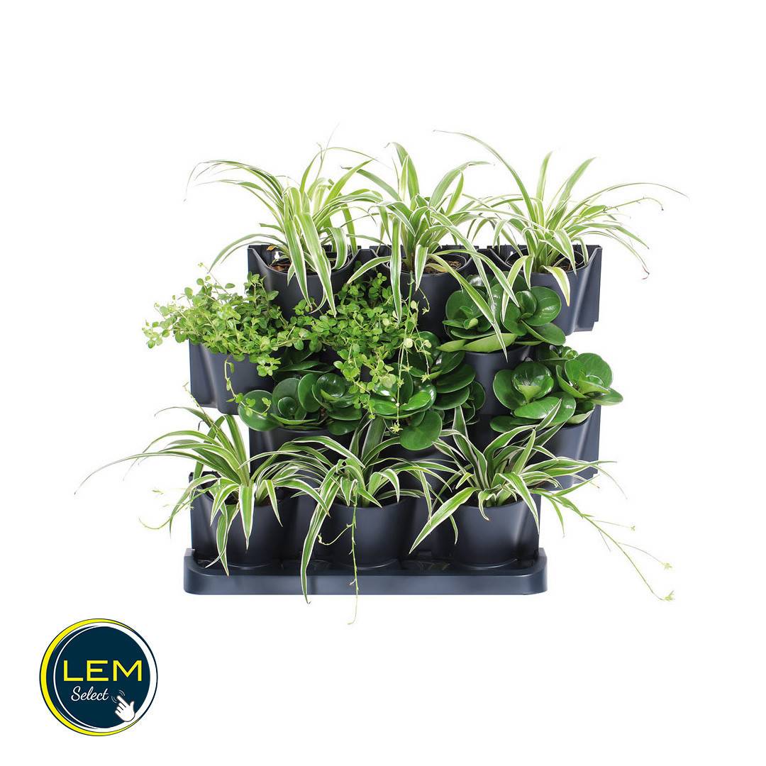 Lem Select - Jardinière Pot verticale Cascade Garden en plastique couleur anthracite 68,5 (L) x 19 (l) x 54,6 (H) cm - Image 3