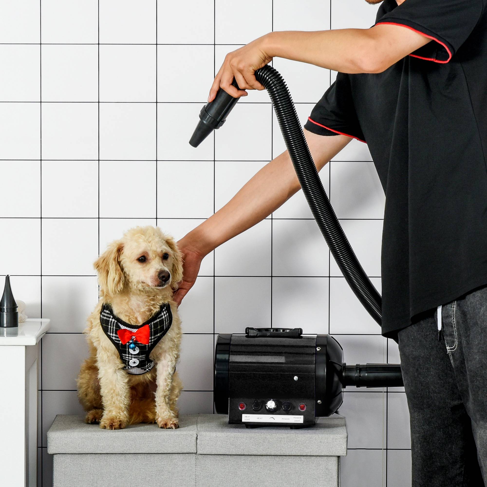 Sans Marque - Sèche-chien 2800W, vitesse et température réglables, 3 buses, chauffage, pour chiens/chats - Image 3