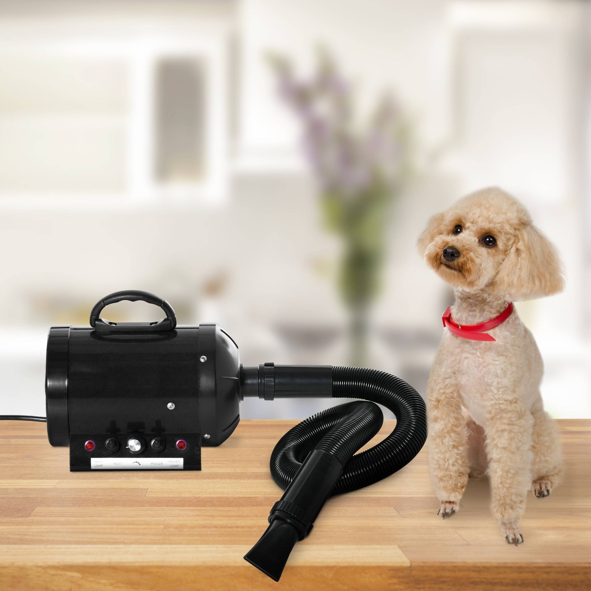 Sans Marque - Sèche-chien 2800W, vitesse et température réglables, 3 buses, chauffage, pour chiens/chats - Image 4
