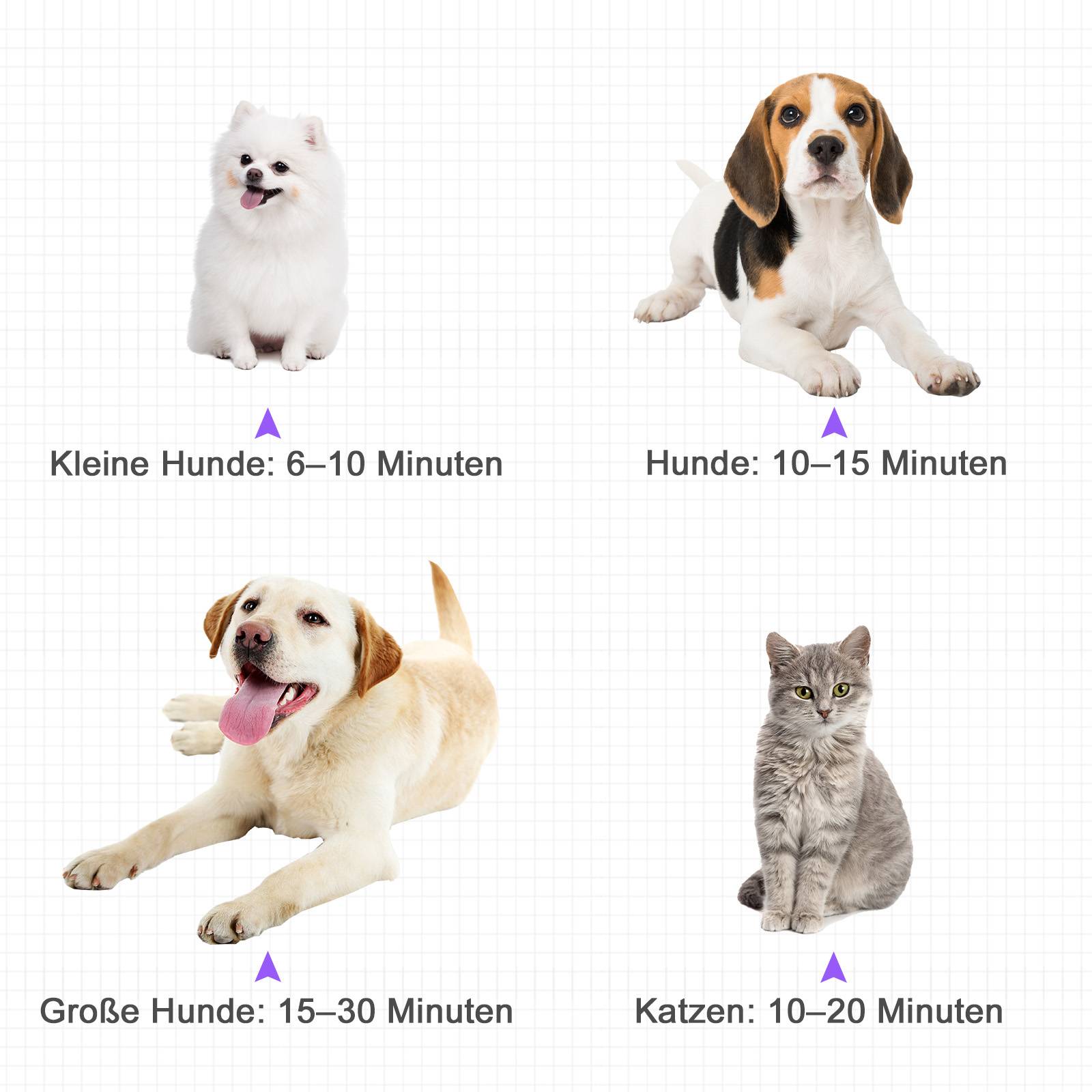 Sans Marque - Sèche-chien 2800W, vitesse et température réglables, 3 buses, chauffage, pour chiens/chats - Image 8