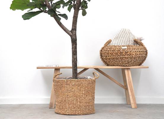La Green Touch - Ficus Lyrata Arbre - D30 H180cm - Image 3