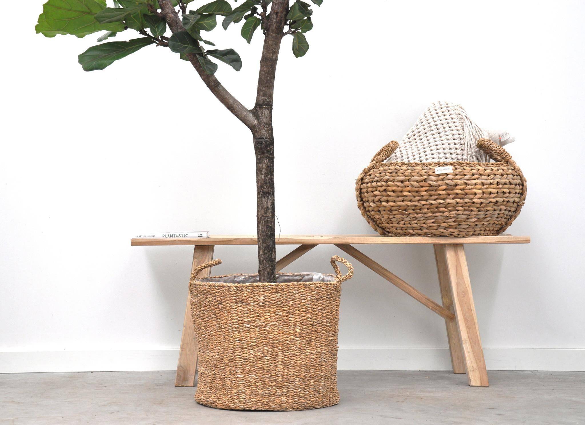 La Green Touch - Ficus Lyrata Arbre - D30 H180cm - Image 3