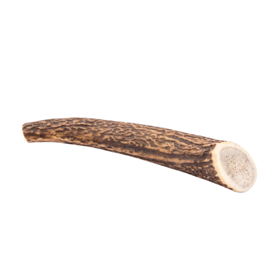 Bois de Cerf pour Chien S 70-100g - Image 2