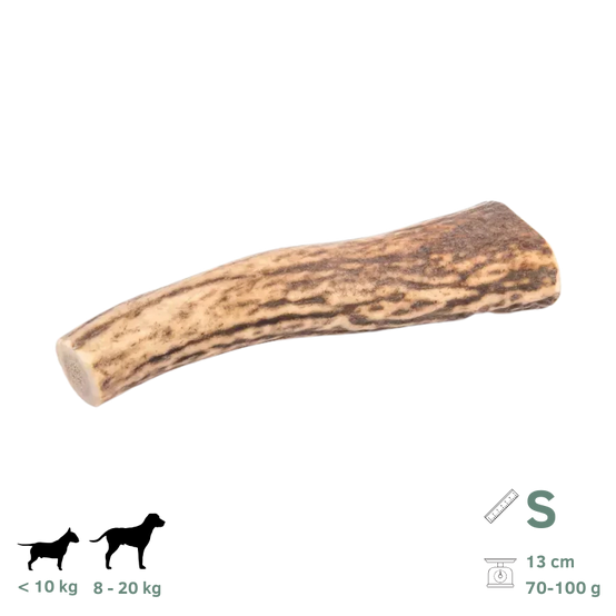 Bois de Cerf pour Chien S 70-100g - Image 1