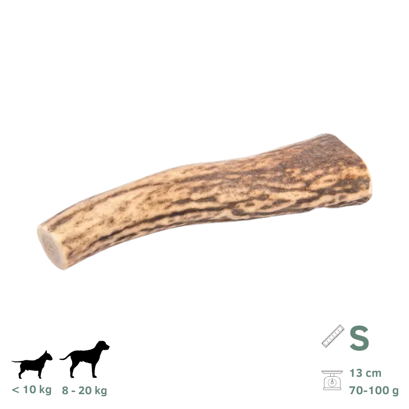 Bois de Cerf pour Chien S 70-100g - Image 1