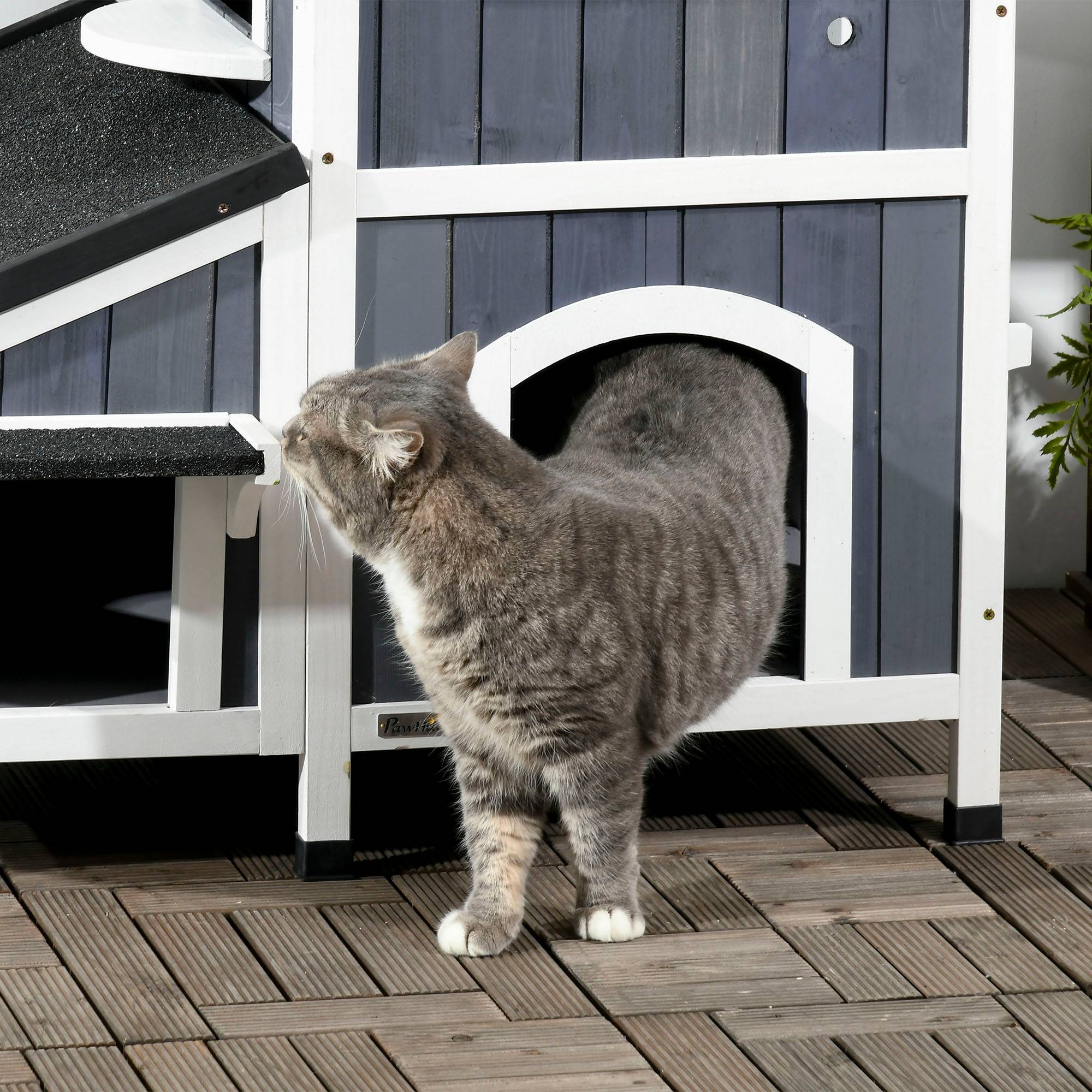 Sans Marque - Maison chat extérieur 2 étages surélevée Bois naturel toit bitume, gris, 96x65x85,5cm - Image 10