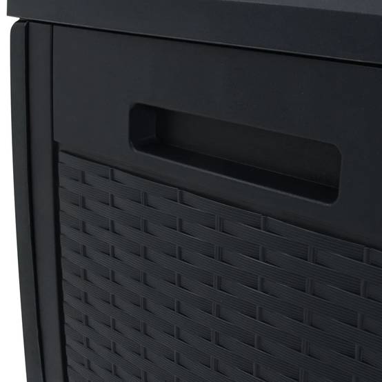 Boîte de stockage jardin 119 x 48 x 60 cm polypropylène anthracite - Image 6