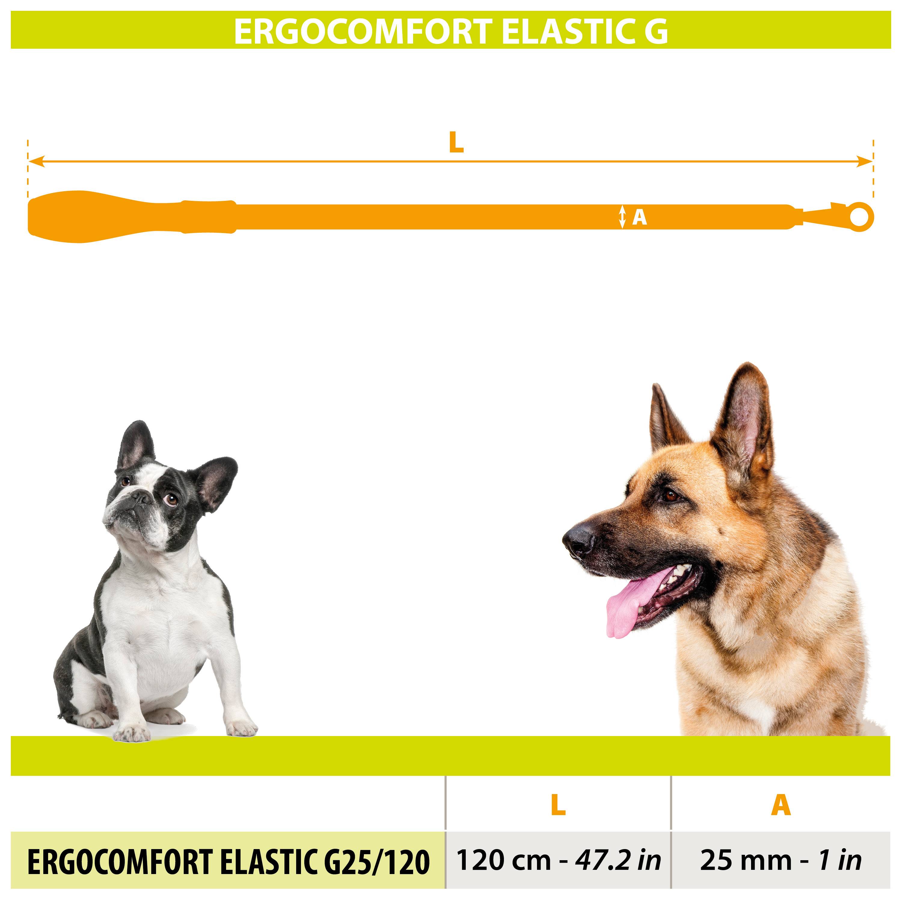 Ferplast - Ferplast Laisse élastique pour chien ERGOCOMFORT ELASTIC, Poignée ergonomique, Rembourrage doux, Longueur 120 cm x 2,5 cm, Argent - Image 2