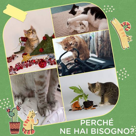 Arbre à chat sisal pour chatons design cactus griffoir et balle de jeu 35x31x55cm vert - ComfortXL Outdoor Living - Image 9