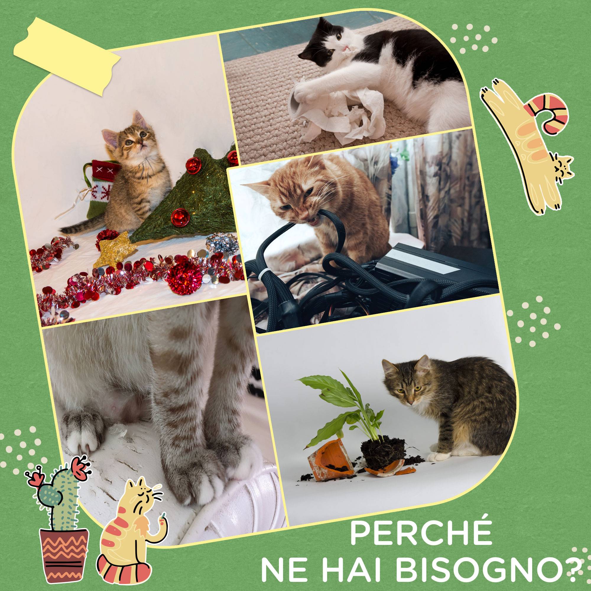 Arbre à chat sisal pour chatons design cactus griffoir et balle de jeu 35x31x55cm vert - ComfortXL Outdoor Living - Image 9