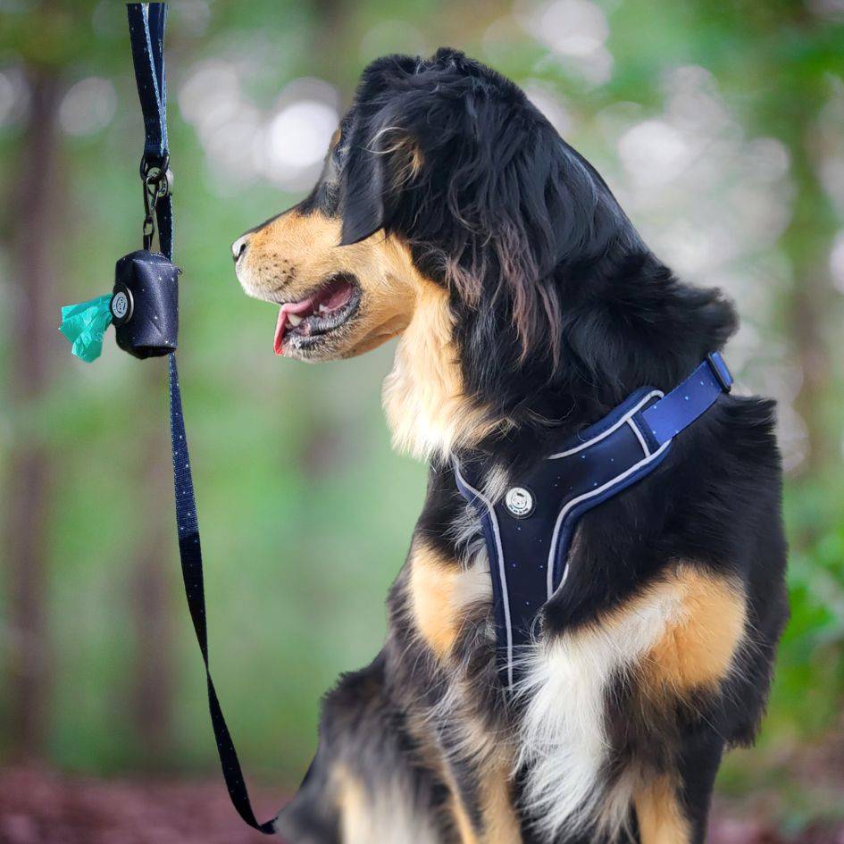Harnais Premium pour chien confortable – Bleu Nuit – On se la Pet - Image 6
