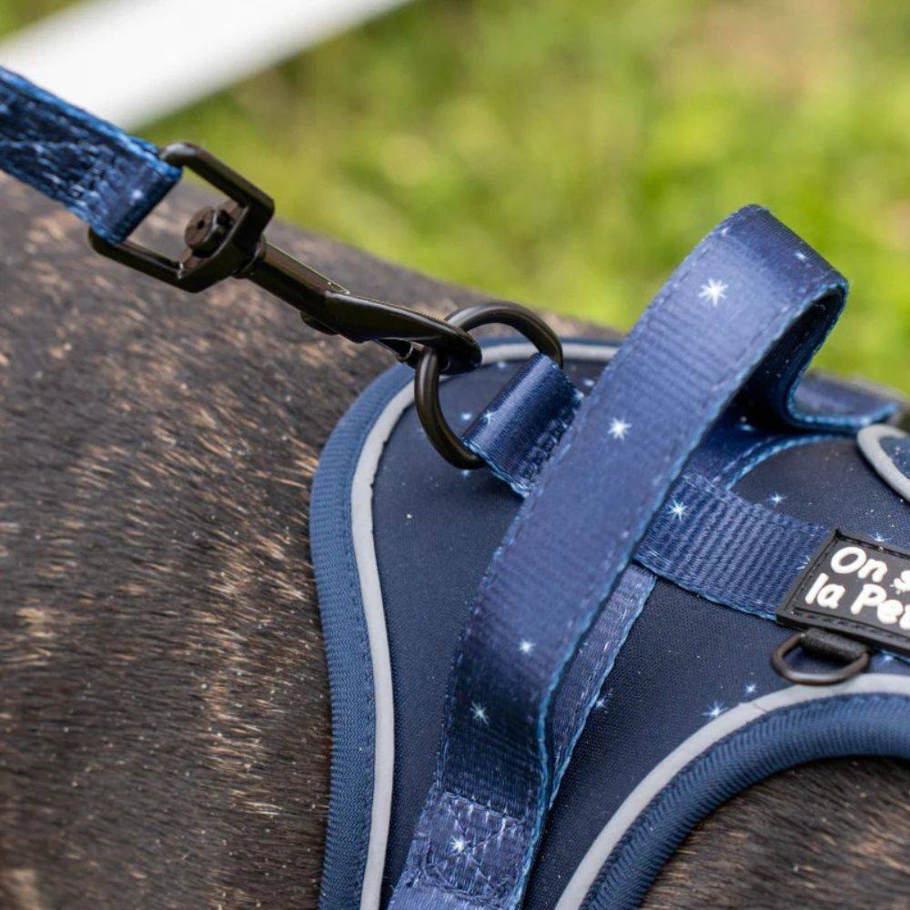 Harnais Premium pour chien confortable – Bleu Nuit – On se la Pet - Image 4