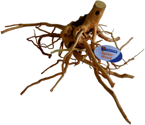 Superfish - Spiderwood Naturelle Bois Brun 40-50 cm Grande - SUPERFISH