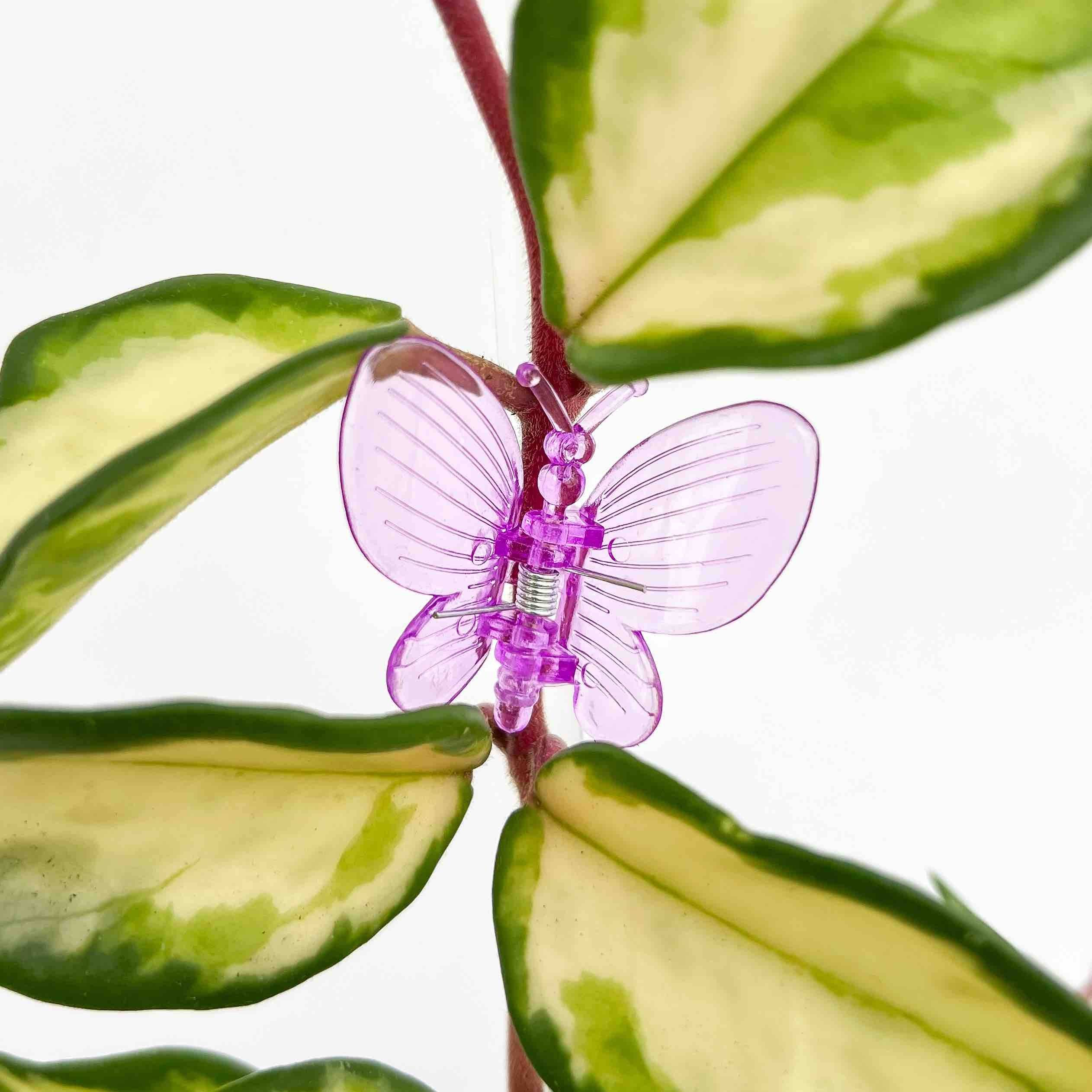 Pinces Papillon pour plante X10 - Pince tuteurage Papillon - Clips de support - Pinces de support pour plantes - Lilas - Image 1
