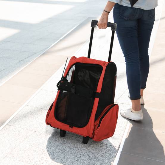 Sac à dos chariot transport chien chat tissu Oxford pour voyage 42x25x55 cm Rouge - ComfortXL Outdoor Living - Image 4