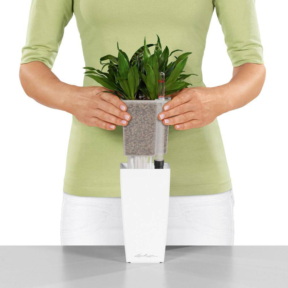 Lechuza - Pot de table Mini-Cubi - kit complet, blanc brillant 18 cm Lechuza - Image 2