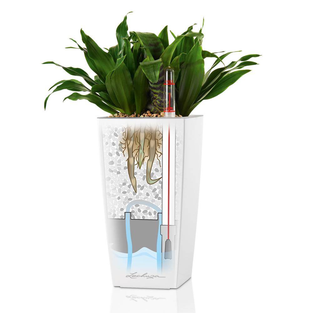 Lechuza - Pot de table Mini-Cubi - kit complet, blanc brillant 18 cm Lechuza - Image 7