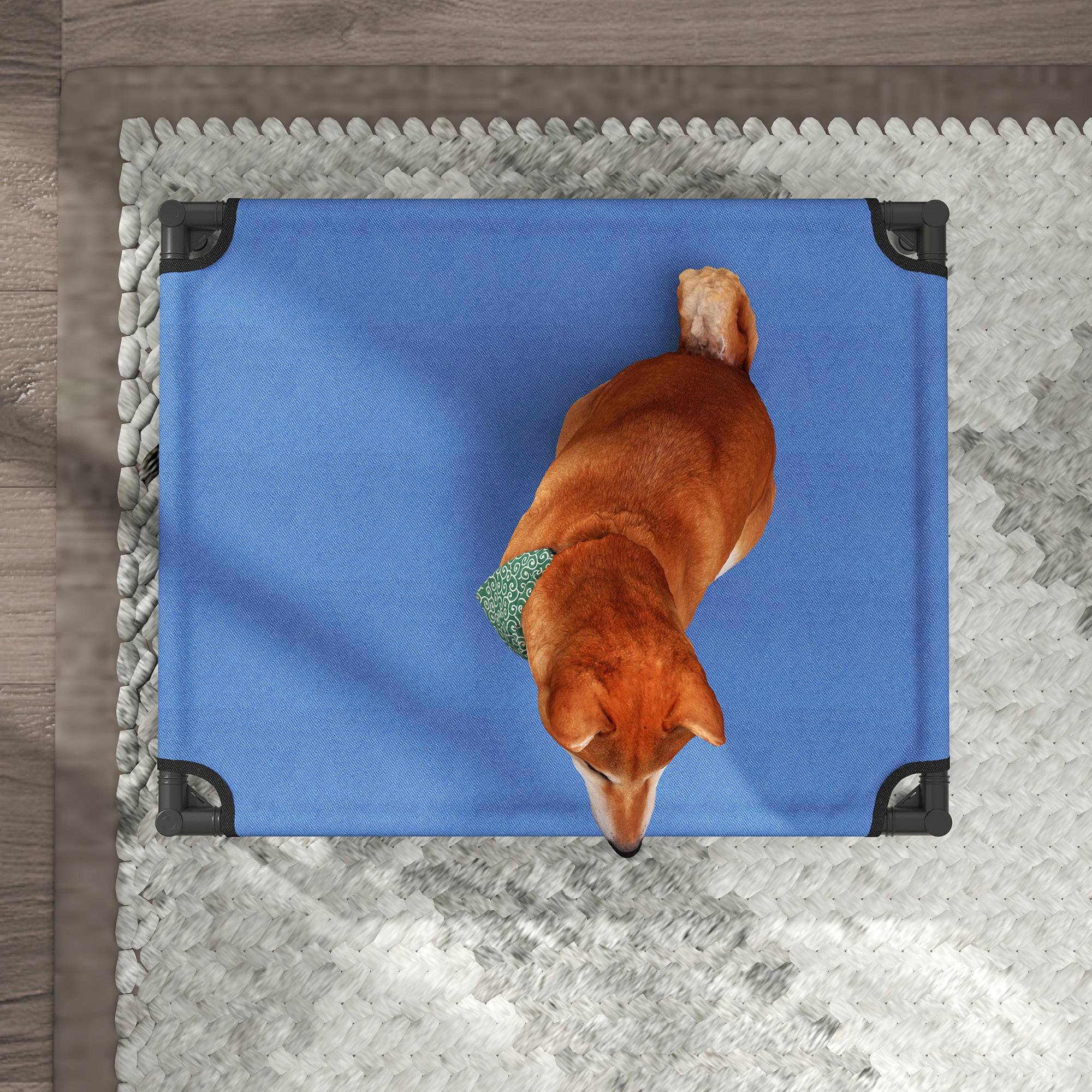 ComfortXL - Lit surélevé pliable pour chien en métal et tissu Oxford bleu 76 x 61 x 18 cm pour intérieur et extérieur - Image 9