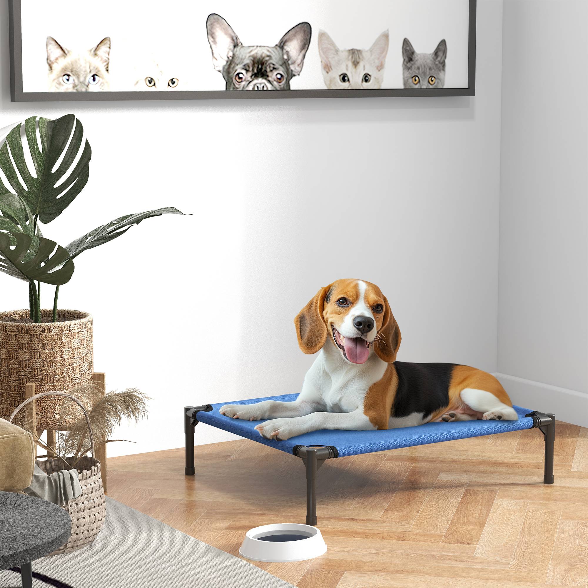 ComfortXL - Lit surélevé pliable pour chien en métal et tissu Oxford bleu 76 x 61 x 18 cm pour intérieur et extérieur - Image 1