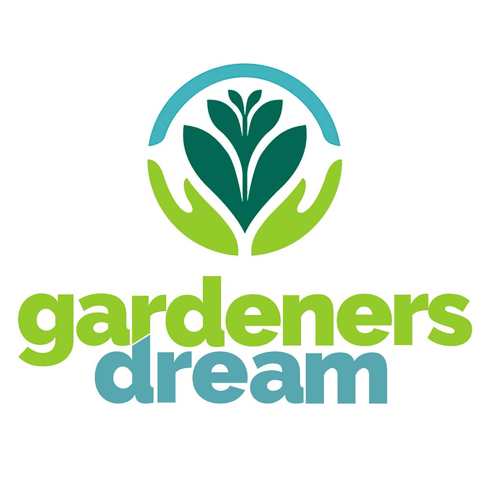 Gardenersdream - Zamioculca Zamiifolia Plante D’Intérieur - Arbuste D’Intérieur Plante En Pot 13 Cm - GardenersDream - Image 4