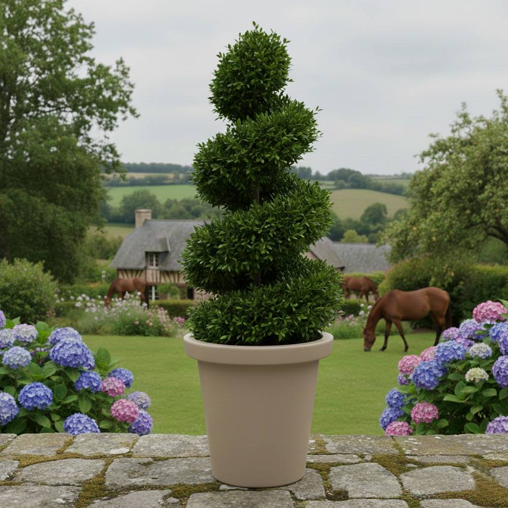 Plast'Up Rotomoulage - Pot de fleurs rond xxl delight 420l- lot de 2 - plast'up rotomoulage - Image 3