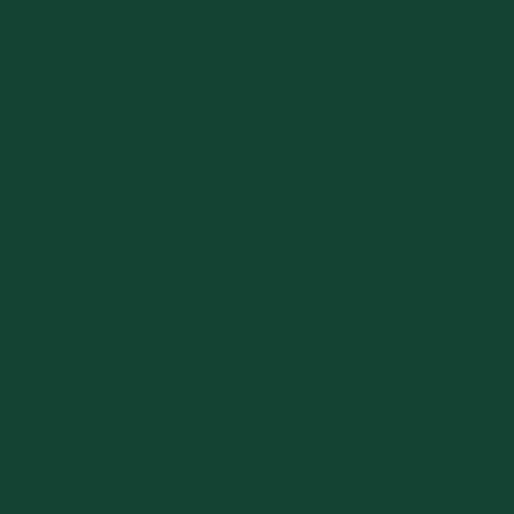 Abri Jardin Acier Galvanisé 10m² Cabane Rangement Outils 4 Aérations Vert - ComfortXL Outdoor Living - Image 9