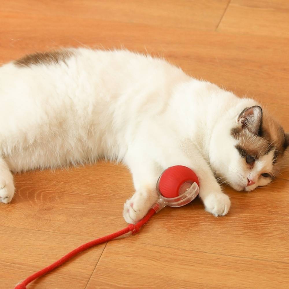 IntiMeg - Jouet pour chat Balle automatique pour chat Rose IntiMeg - Image 5