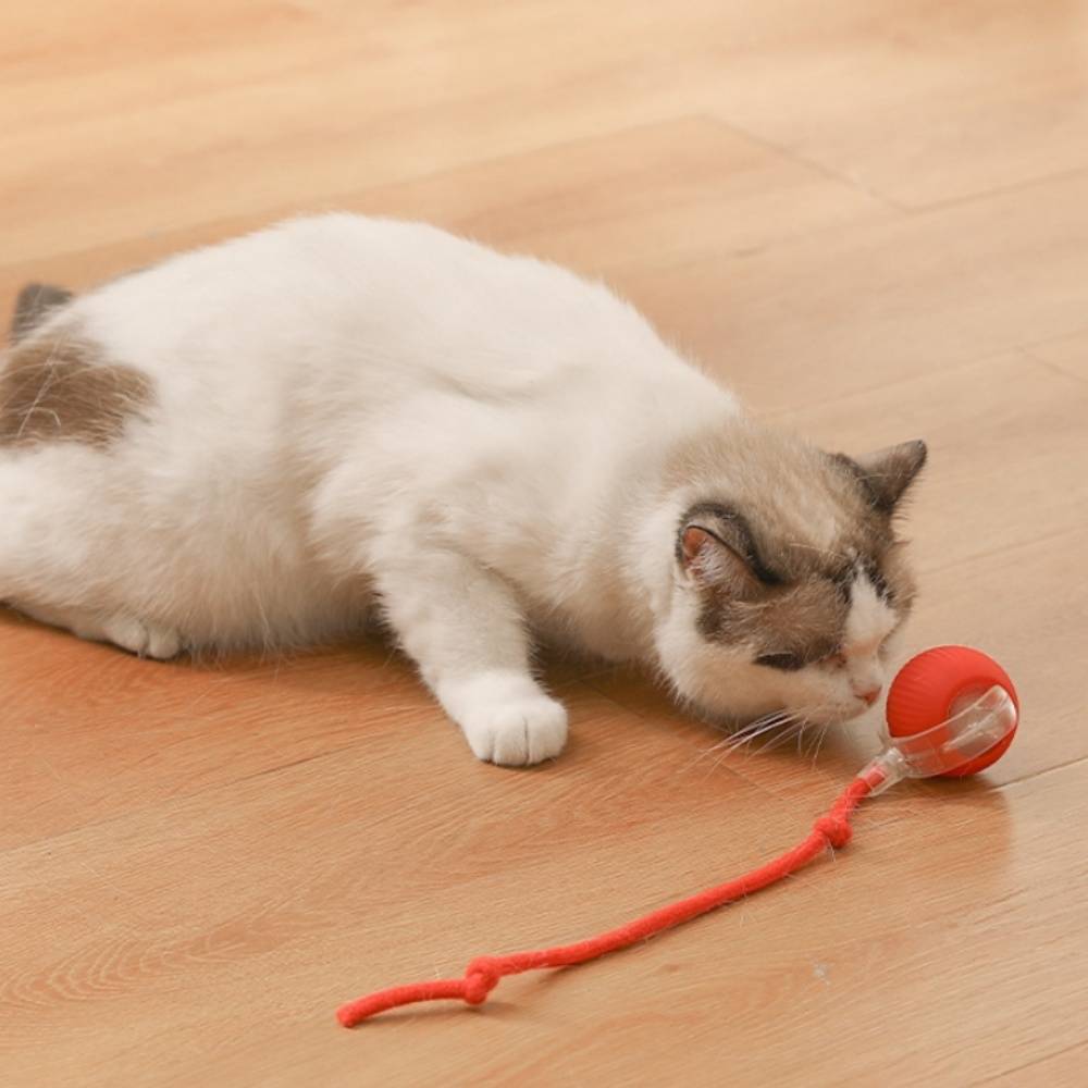 IntiMeg - Jouet pour chat Balle automatique pour chat Rose IntiMeg - Image 3