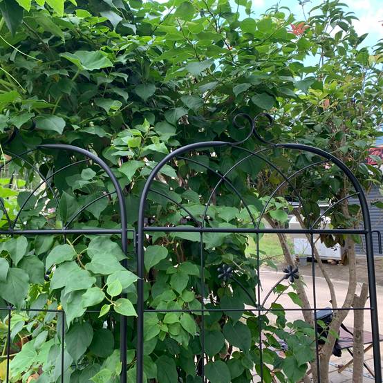 Grille jardin métal noir 50 x 2 x 180 cm - PANGIVO - Image 8