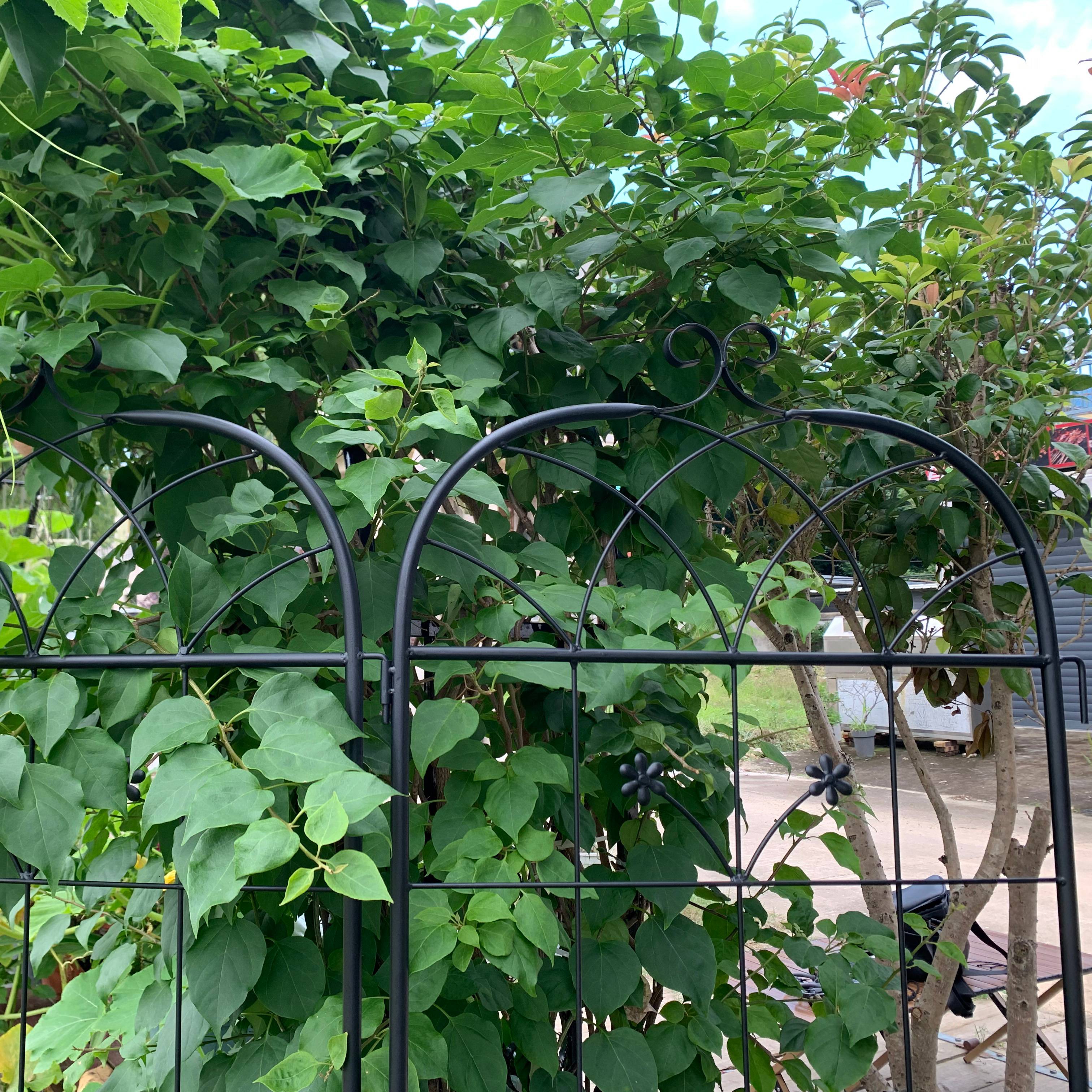 Grille jardin métal noir 50 x 2 x 180 cm - PANGIVO - Image 8