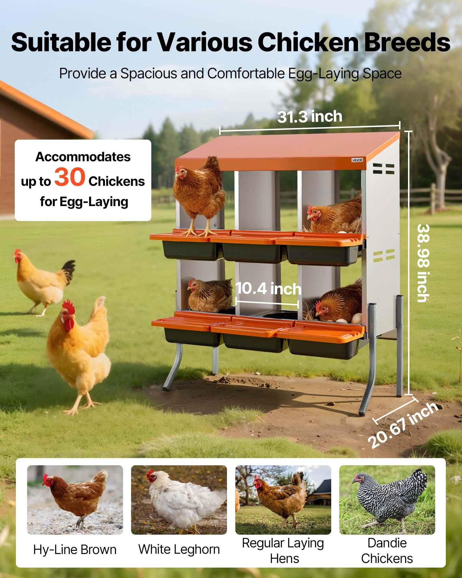 VEVOR Pondoir à Poules Nichoir 6 Compartiments Pieds de Support 79,5x52,5x99 cm - Image 2