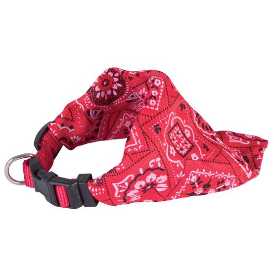 Collier chien bandana star rouge Taille : T3 DOOGY CLASSIC