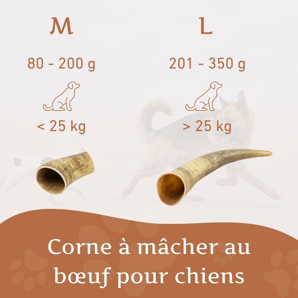 Wildfang - Wildfang - Corne à mâcher de boeuf - 3 pieces - M - Image 4