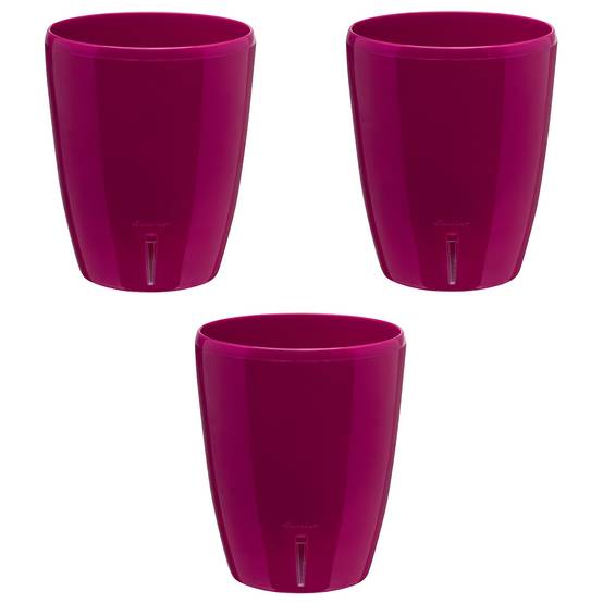 Gt Garden - Lot de 3 pots pour orchidées avec réserve d'eau - Orchidea pourpre 2 litres - GT GARDEN - Image 1