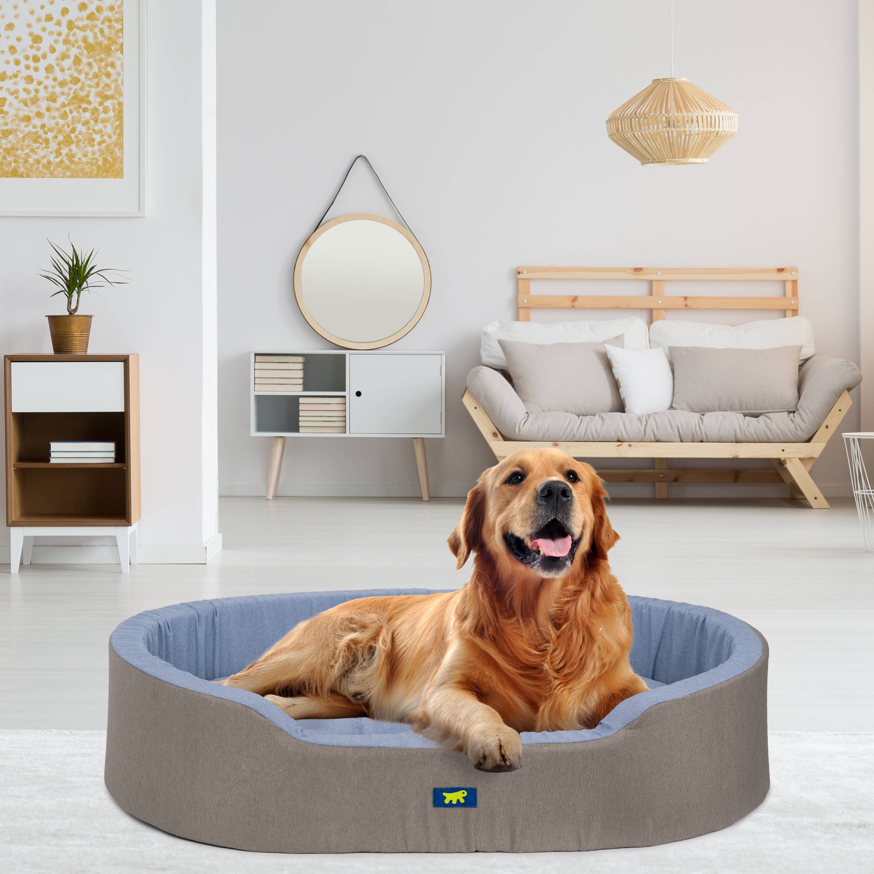 Ferplast - Ferplast Panier Chien Dandy, Coussin Amovible et Lavable, Housse en Coton avec Rembourrage Doux, Grand Lit pour Chien, 110 x 70 x H 23 cm, Bleu Clair - Image 3