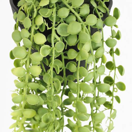 Ligne Deco - Plante succulente retombante artificielle 40cm - Image 4